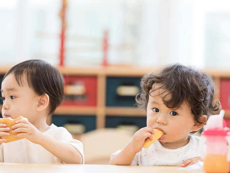 フッ素 生えたての乳歯
