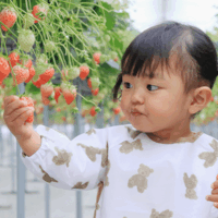 こどもの口腔環境