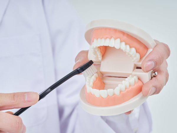 ブラッシング指導